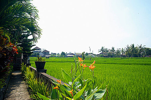 旅游胜地,亚洲