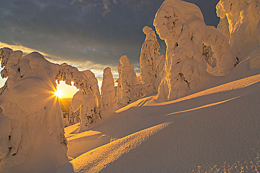 雪,灵异,白鲑,山脉,靠近,蒙大拿,美国