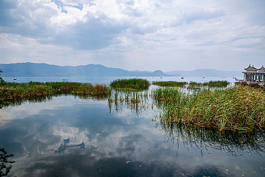 云南玉溪抚仙湖月亮湾湿地公园