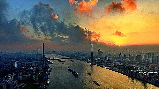 日出杨浦大桥