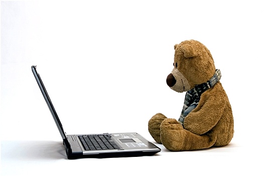 笔记本电脑,泰迪熊