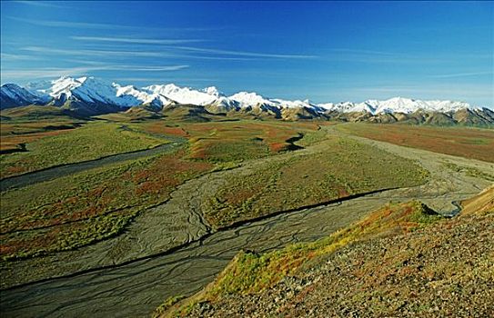 顶峰,阿拉斯加山脉,彩色,秋天,苔原,德纳里峰国家公园,阿拉斯加,美国