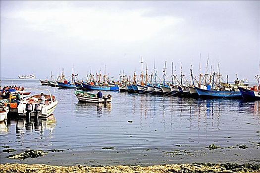 渔船,停靠,商业码头,查科,秘鲁