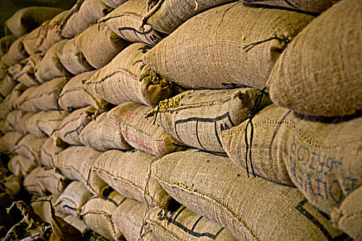 萨尔瓦多,中美洲,咖啡,卡门,不动产