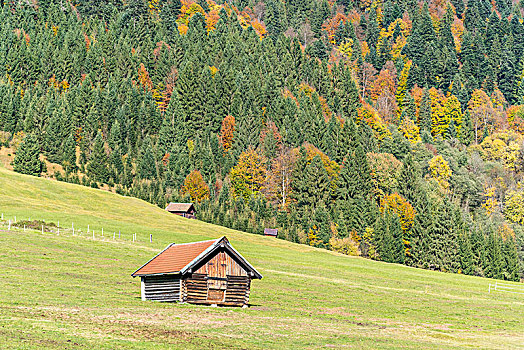 小屋,绿色,草地,冷杉,背景,上巴伐利亚,巴伐利亚,德国