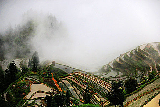 加榜梯田