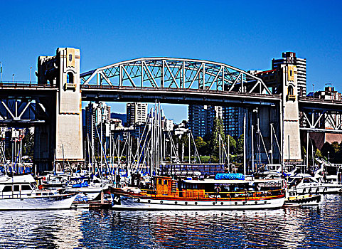 桥,上方,河,福尔斯湾,温哥华,不列颠哥伦比亚省,加拿大