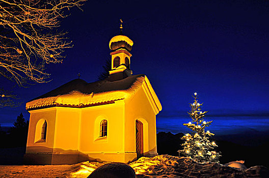德国,巴伐利亚,伊萨河,山谷,冬天,黃昏,小教堂,圣诞树
