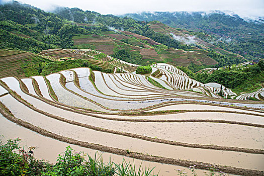 桂林龙胜梯田