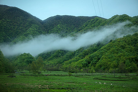 神农架,大九湖,风景,景点,旅游,高山,瀑布,河流,树木,植被,湿地,高原,湖泊,壮观