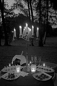 香槟,甜点,桌子,小树林