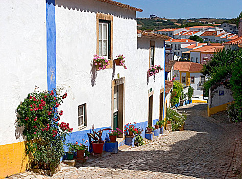 街景,城墙,奥比都斯,葡萄牙