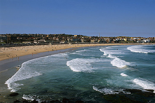 澳大利亚,悉尼,邦迪海滩,人,冲浪