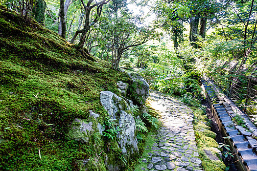 日本奈良日式庭园,吉城园,景观