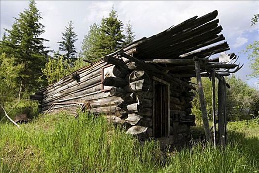 老,原木,建筑,小屋,育空地区,加拿大,北美