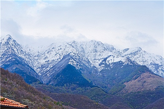 阿尔卑斯山