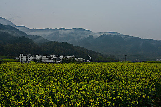 江南雾里乡村