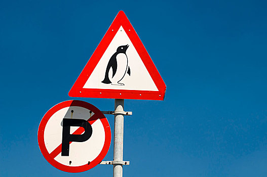 警告标识,企鹅,岬角,西海角,南非,非洲