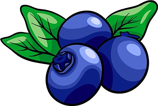 蓝莓,水果,卡通,插画