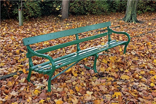 公园长椅,秋天