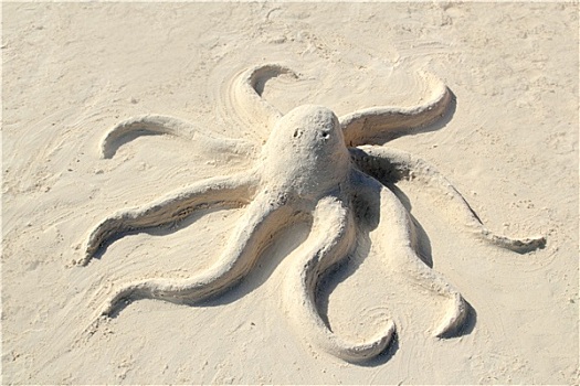 沙子,章鱼,雕塑,白色,海滩