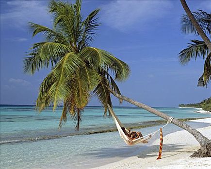 棕榈树,海滩,悬挂,上方,水,年轻,情侣,吊床,马尔代夫,印度洋