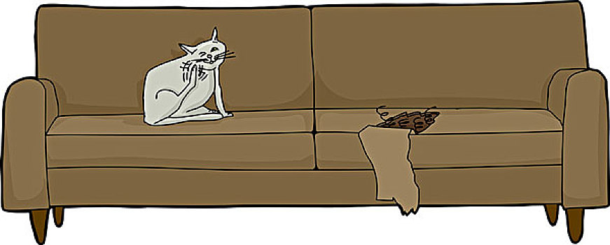 挠,猫,损坏,沙发