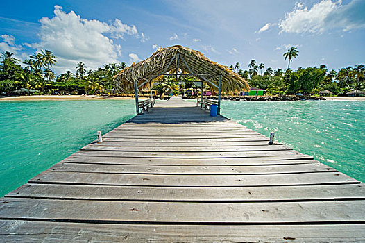 码头,出海,多巴哥岛