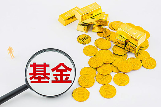 汇集所有金币金块和资金成为基金进行投资