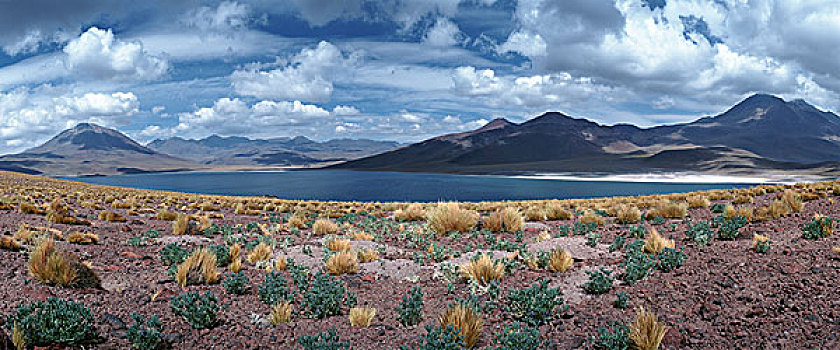 智利,风景,湖,山,全景