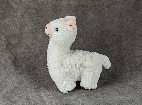 绒毛玩具,制品,澳洲,草原动物,白色,羊驼,静物,工艺品