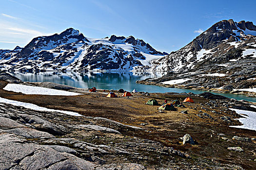 旅游,露营,帐篷,峡湾,安马沙利克岛,东方,格陵兰,北美