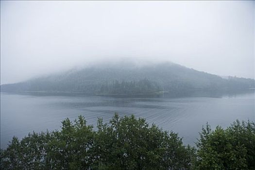 岛屿,薄雾,高,海岸,瑞典