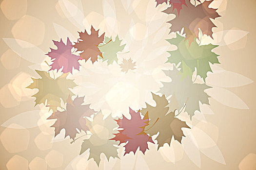 秋天,叶状,暖色调