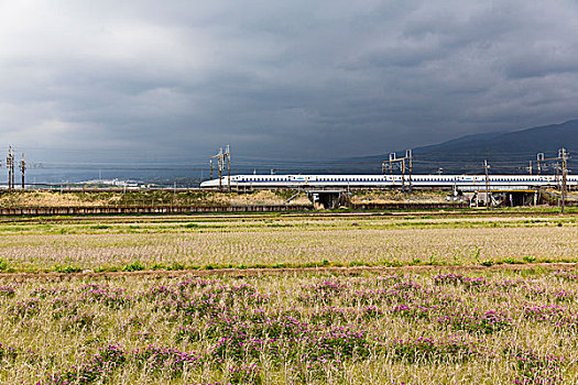 高速列车,新干线,乡村,环境,正面,雷暴,天空,区域,静冈,本州,日本