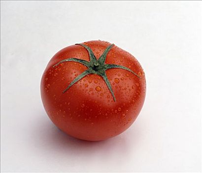 西红柿,小水滴