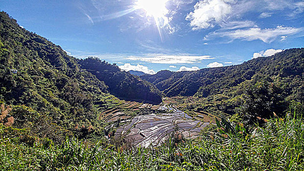 稻米梯田,巴纳韦,吕宋岛,菲律宾