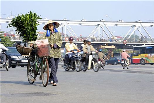 越南,成年,女人,推,满载,自行车,河内,东南亚