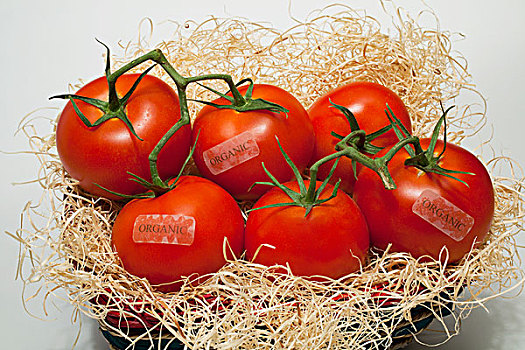 西红柿,篮子,有机,标签,滑铁卢,魁北克,加拿大