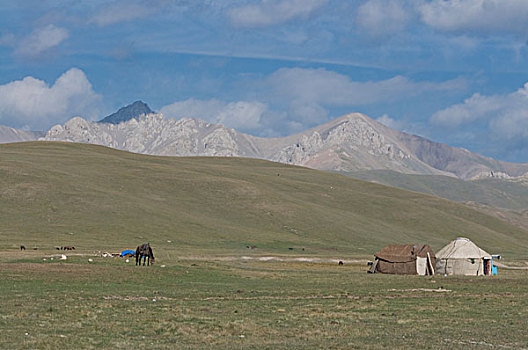 吉尔吉斯斯坦,歌曲,蒙古包,露营,游牧