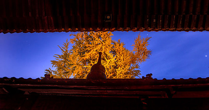 西安古观音禅寺的秋天夜景