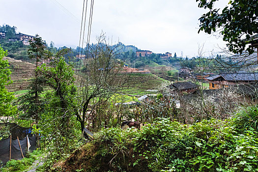 阶梯状,花园,乡村