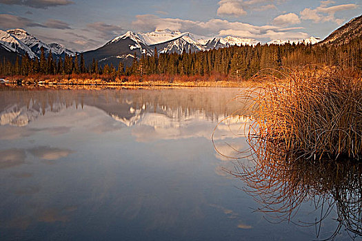 弗米利恩湖,日出,巨大,山脉,艾伯塔省,加拿大
