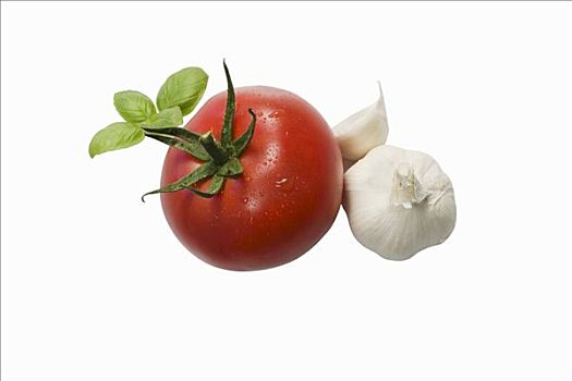 西红柿,罗勒,蒜,白色背景