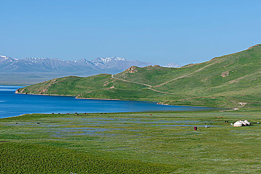 歌曲,湖,省,吉尔吉斯斯坦,亚洲
