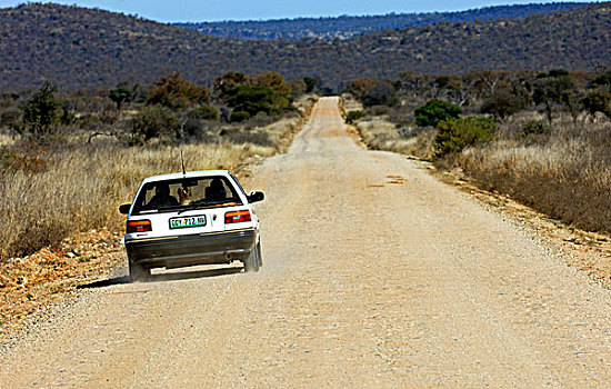 汽车,驾驶,自然,小路,游戏,自然保护区,南非,非洲