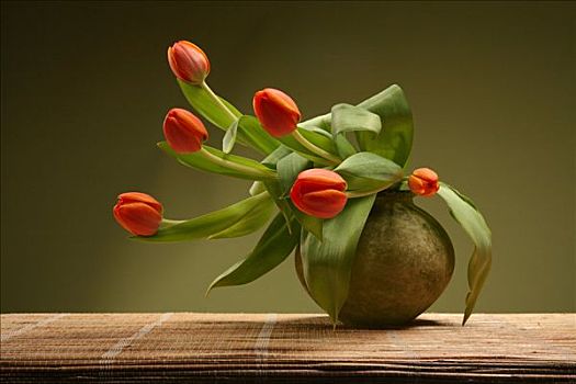 红色,郁金香,花,花瓶