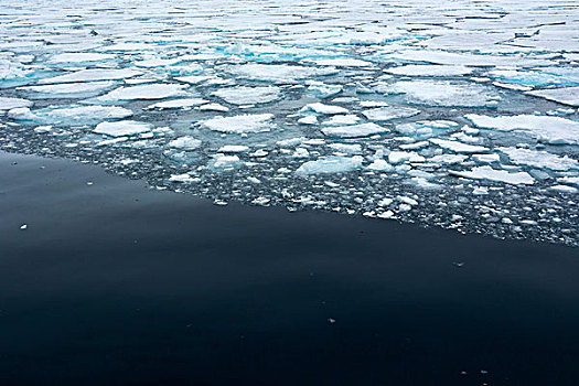 挪威,斯瓦尔巴特群岛,北方,右边,边缘,浮冰,冰,地表水流