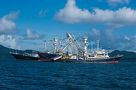 中国,捕鱼,拖船,密克罗尼西亚,中心,太平洋