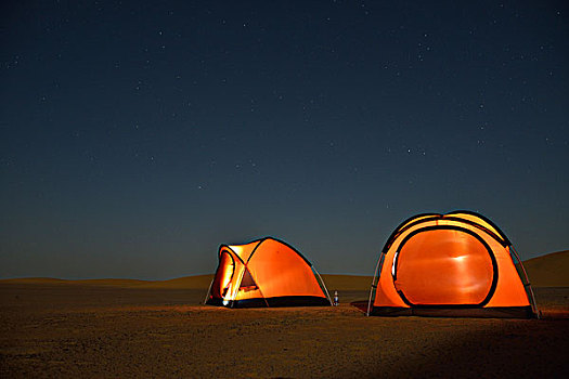 帐篷,努比亚,荒芜,晚上,灯,靠近,北方,苏丹,非洲